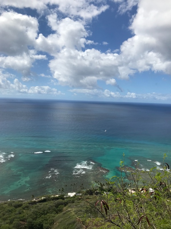有网友留言想看夏威夷的风景 今天它来了 表情 你看它到处都是海 湛蓝碧绿清澈 一 来自网易大神梦幻西游手游圈子 听说名字取的越长越好