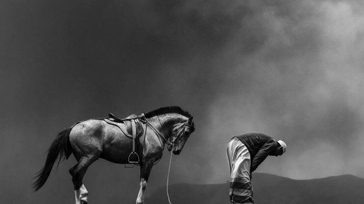 下马敬红尘,来世不做人_梦幻西游手游 | 大神