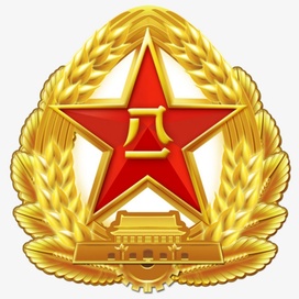 国徽戴在头顶,血液流淌忠诚,生在八一的军旗下,为祖国的奋斗_大神