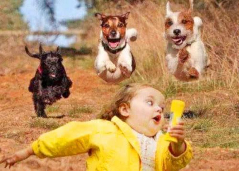 梦见小狗追我冲我叫我动不了了然后小狗变成人了，求高人解梦