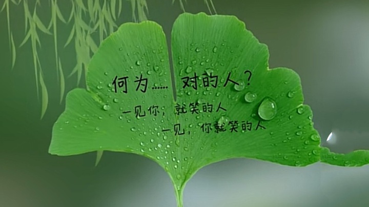 何为对的人?一见你,就笑的人!一见_大神