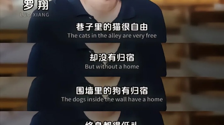 巷子里的猫很自由 却没有归宿 围墙里的狗有归宿 终生都得低头_梦幻