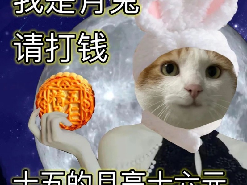 打钱打钱_梦幻西游手游 | 大神